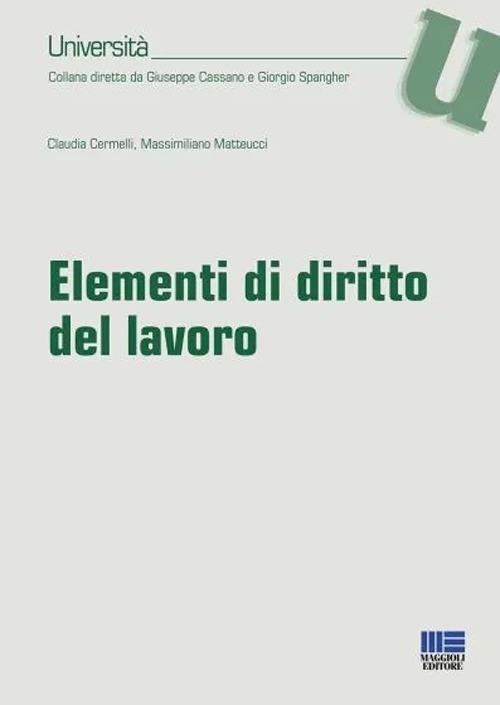 Elementi di diritto del lavoro - Claudia Cermelli,Massimiliano Matteucci - copertina