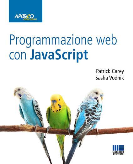 Programmazione web con Javascript - Patrick Carey,Sasha Vodnik - copertina