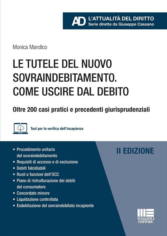 Le tutele del nuovo sovraindebitamento. Come uscire dal debito. Oltre 200 casi pratici e precedenti giurisprudenziali. Con tool per la verifica dell'incapienza - copertina