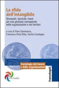 La sfida dell'intangibile. Strumenti, tecniche, trend per una gestione consapevole nelle organizzazioni e nei territori - copertina