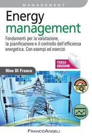 Energy management. Fondamenti per la valutazione, la pianificazione e il controllo dell'efficienza energetica. Con esempi ed esercizi
