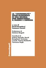 La «sostenibilità» socio-economica di una risorsa non rinnovabile: il marmo e Carrara