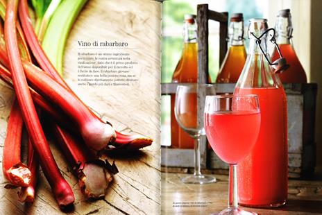 Drink fatti in casa - Lindy Wildsmith - 3
