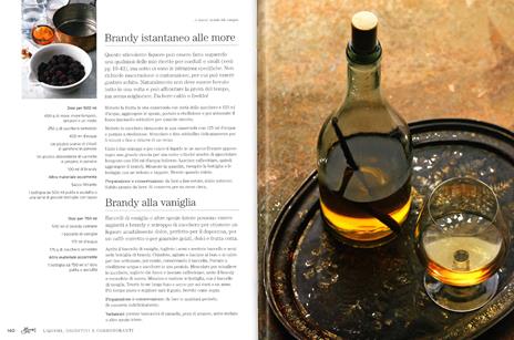 Drink fatti in casa - Lindy Wildsmith - 5