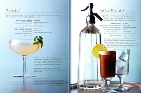 Drink fatti in casa - Lindy Wildsmith - 6
