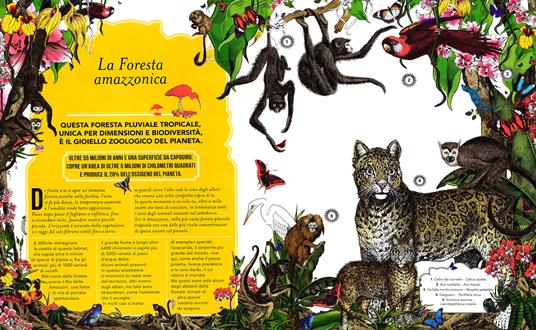 Il giardino delle meraviglie. Esplora 5 habitat e scopri 50 fantastici animali. Ediz. illustrata - Kristjana S. Williams,Jenny Broom - 2