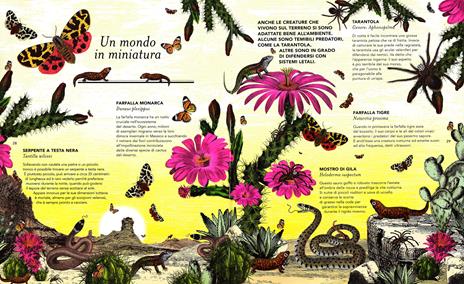 Il giardino delle meraviglie. Esplora 5 habitat e scopri 50 fantastici animali. Ediz. illustrata - Kristjana S. Williams,Jenny Broom - 5