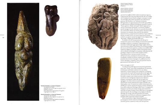 Terrantica. Volti, miti e immagini della terra nel mondo antico. Catalogo della mostra (Roma, 23 aprile-11 ottobre 2015). Ediz. illustrata - 2