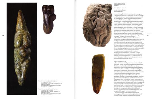 Terrantica. Volti, miti e immagini della terra nel mondo antico. Catalogo della mostra (Roma, 23 aprile-11 ottobre 2015) - 2