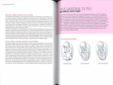 La nuova gravidanza. Avere un figlio oggi - Enrico Semprini - 5