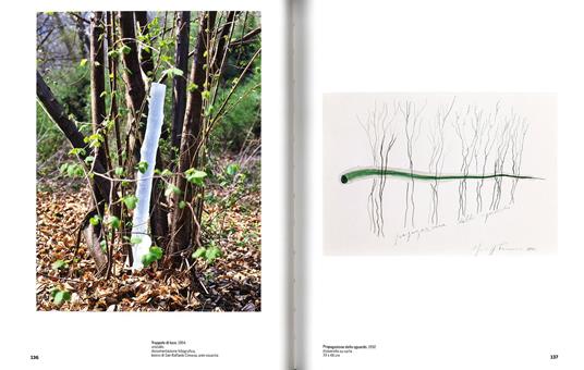 Giuseppe Penone. Scultura. Catalogo della mostra (Rovereto, 19 marzo-26 giugno 2016). Ediz. italiana e inglese - 5