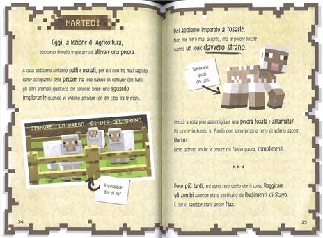 Diario di un guerriero - Cube Kid - 2