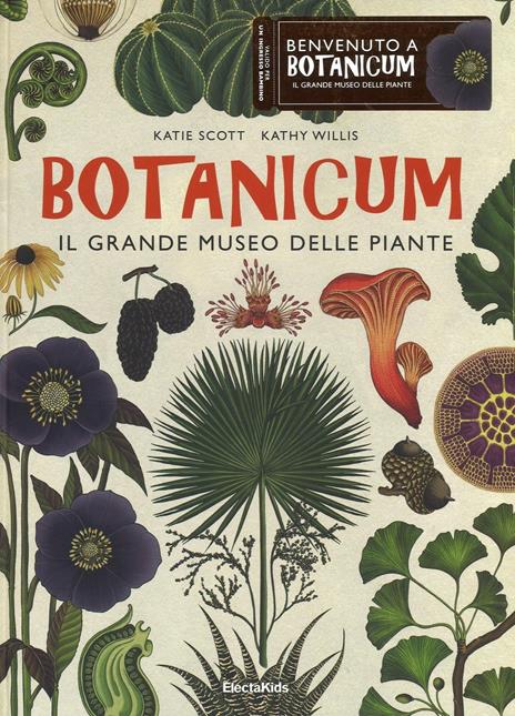 Botanicum. Il grande museo delle piante. Ediz. a colori - Katie Scott,Kathy Willis - copertina