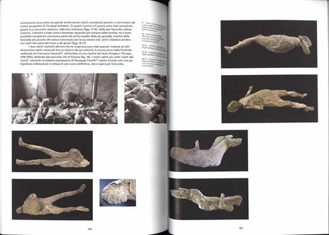 Pompei e l'Europa. Pompei nell'archeologia e nell'arte dal neoclassico al post-classico. Atti del convegno. Ediz. illustrata - 3