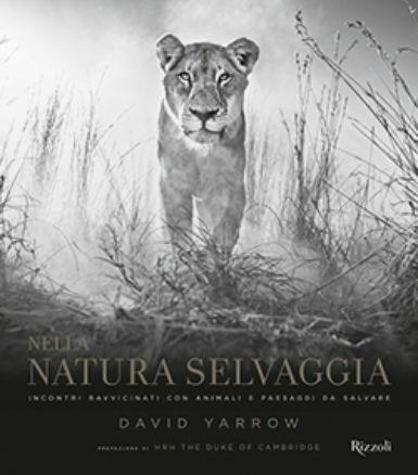 Nella natura selvaggia. Incontri ravvicinati con animali e paesaggi da salvare. Ediz. illustrata - David Yarrow - copertina