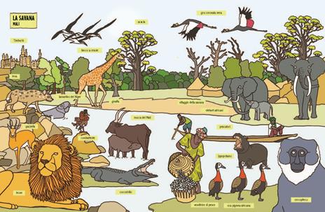 Fiumi. Le più famose vie d'acqua del mondo: piante, animali, popoli e città. Ediz. a colori - Gianluca Biscalchin - 3