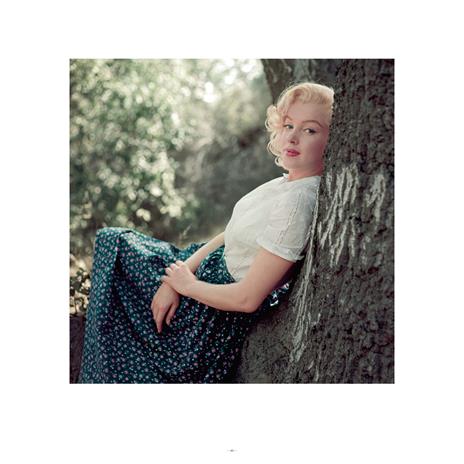 Marilyn Monroe. Un fotografo, la sua musa. Ediz. a colori - 4