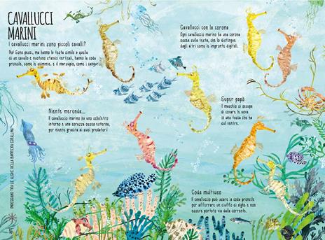 Il libro del mare. Ediz. a colori - Yuval Zommer - 3