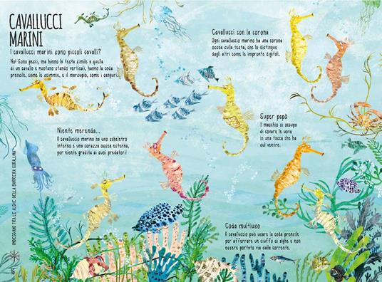 Il libro del mare. Ediz. a colori - Yuval Zommer - 3