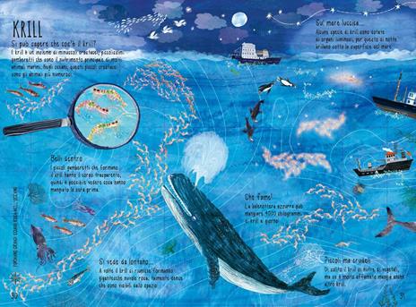 Il libro del mare. Ediz. a colori - Yuval Zommer - 4