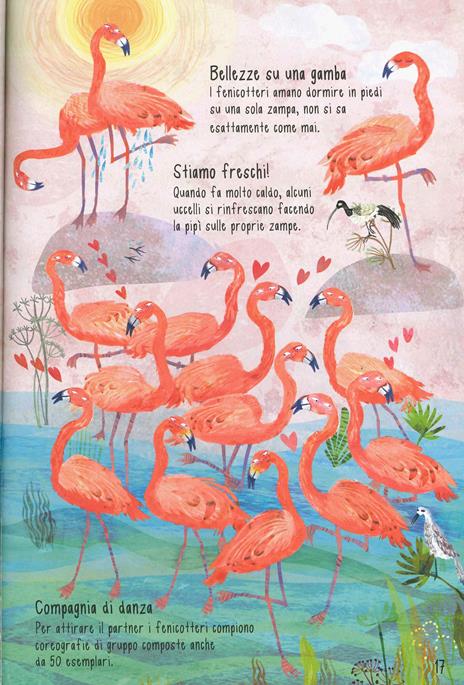 Il libro degli uccelli. Ediz. a colori - Yuval Zommer - 5