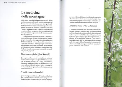 Il magico potere della montagna. Fra aria limpida, silenzio e paesaggi. Ediz. a colori - Ned Morgan - 5