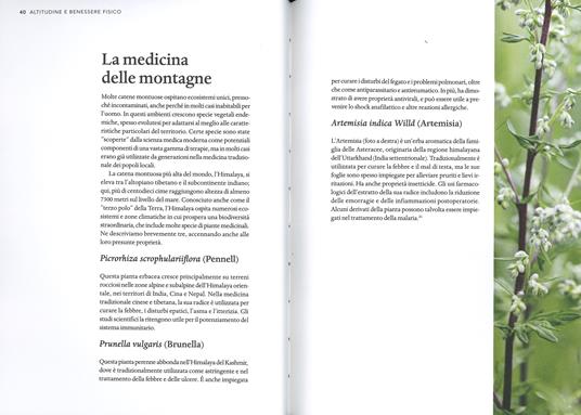 Il magico potere della montagna. Fra aria limpida, silenzio e paesaggi. Ediz. a colori - Ned Morgan - 5