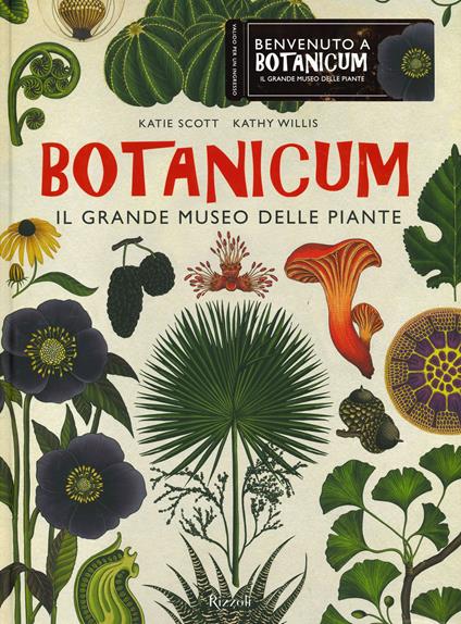 Botanicum. Il grande museo delle piante. Ediz. a colori - Katie Scott,Kathy Willis - copertina