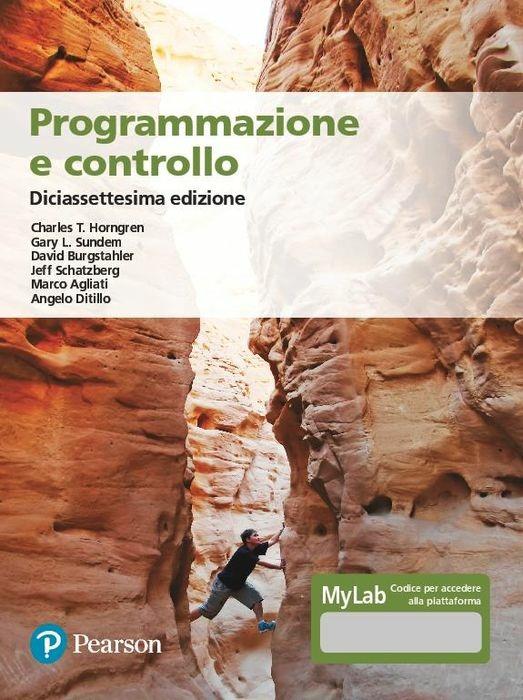 Programmazione e controllo. Ediz. MyLab. Con Contenuto digitale per accesso on line - copertina
