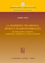 La maternità tra regole, divieti e plurigenitorialità. Fecondazione assistita, maternità surrogata, parto anonimo