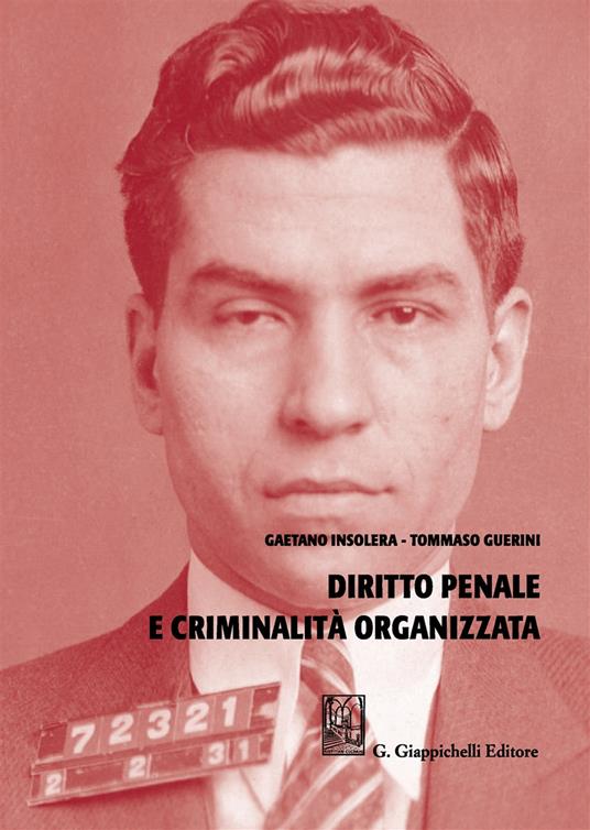 Diritto penale e criminalità organizzata - Gaetano Insolera,Tommaso Guerini - copertina