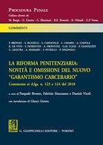 La riforma penitenziaria: novità e omissioni del nuovo «garantismo carcerario». Commento ai d.lgs. n. 124 e 124 del 2018