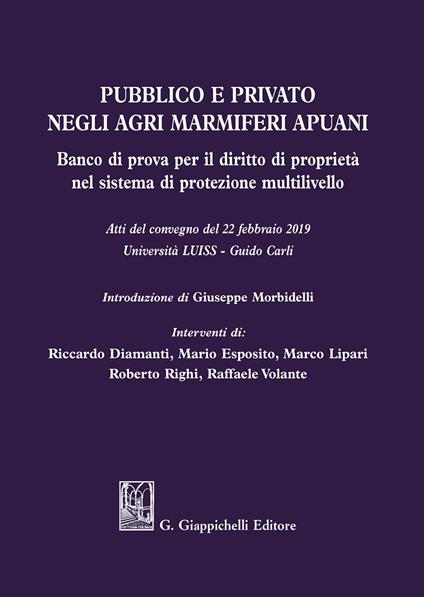 Pubblico e privato negli agri marmiferi apuani. Banco di prova per il diritto di proprietà nel sistema di protezione multilivello. Atti del Convegno (22 febbraio 2019) - Mario Esposito,Marco Lipari,Raffaele Volante - copertina