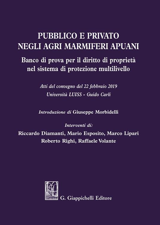 Pubblico e privato negli agri marmiferi apuani. Banco di prova per il diritto di proprietà nel sistema di protezione multilivello. Atti del Convegno (22 febbraio 2019) - Mario Esposito,Marco Lipari,Raffaele Volante - copertina