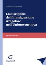 La disciplina dell'immigrazione irregolare nell'Unione europea