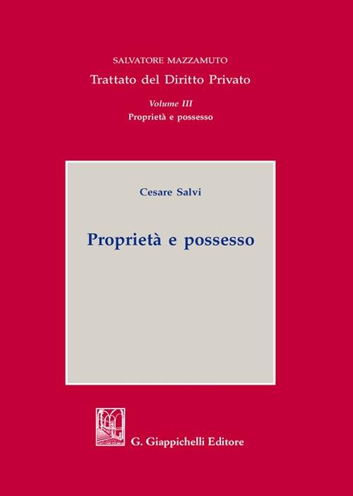 Proprietà e possesso - Cesare Salvi - copertina