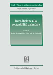 Introduzione alla sostenibilit aziendale