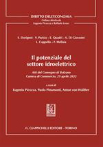 Il potenziale del settore idroelettrico. Atti del Convegno di Bolzano 29 aprile 2022 tenutosi presso la Camera di Commercio, Industria, Artigianato e Agricoltura di Bolzano