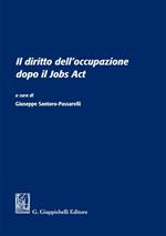 Il diritto dell'occupazione dopo il Jobs Act. Atti del Convegno (Università degli studi Sapienza di Roma, 13 giugno 2016)