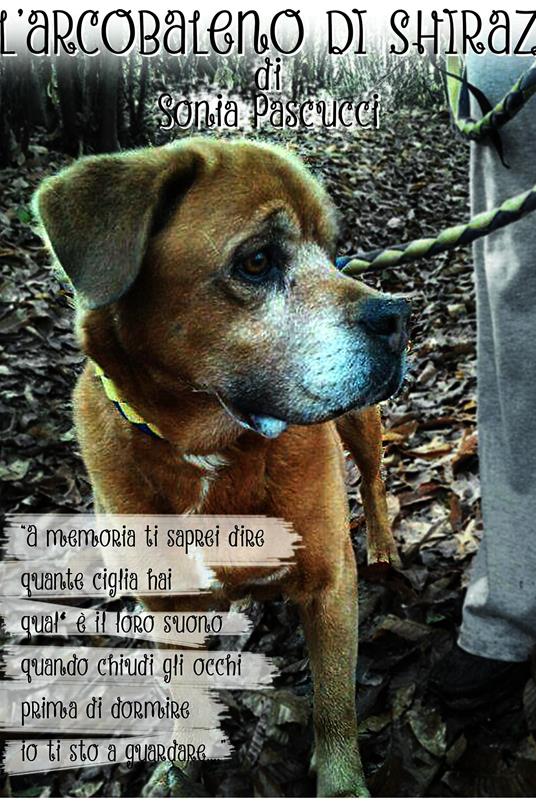 L' arcobaleno di Shiraz - Sonia Pascucci - ebook