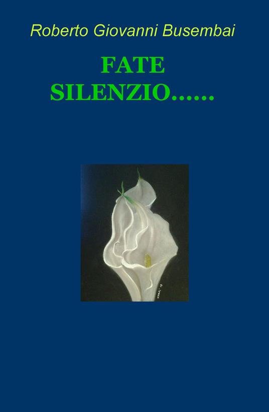 Fate silenzio... - Roberto Giovanni Busembai - copertina