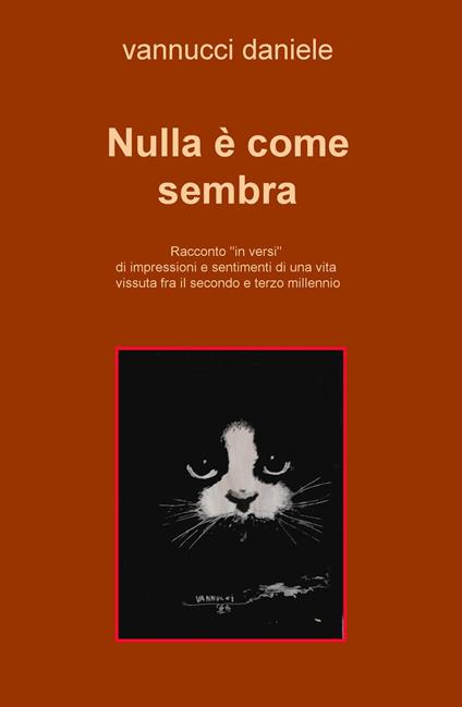Nulla è come sembra. Racconto «in versi» di impressioni e sentimenti di una vita vissuta fra il secondo e terzo millennio - Daniele Vannucci - copertina
