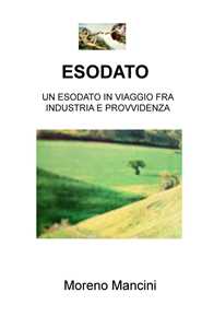 Esodato. Un Esodato In Viaggio Fra Industria E Provvidenza-image