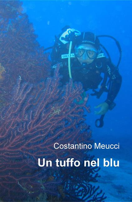 Un tuffo nel blu - Costantino Meucci - copertina