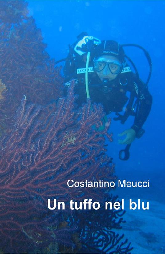 Un tuffo nel blu - Costantino Meucci - copertina