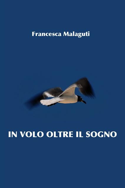 In volo oltre il sogno - Francesca Malaguti - ebook