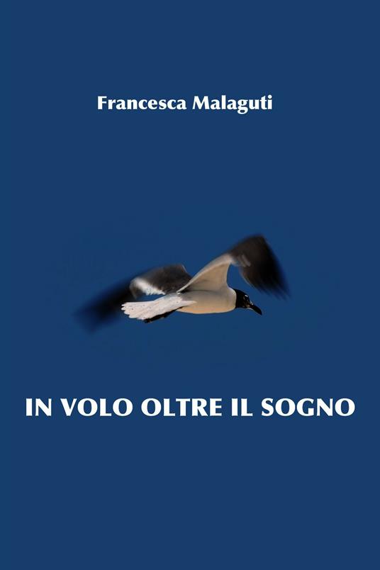 In volo oltre il sogno - Francesca Malaguti - ebook