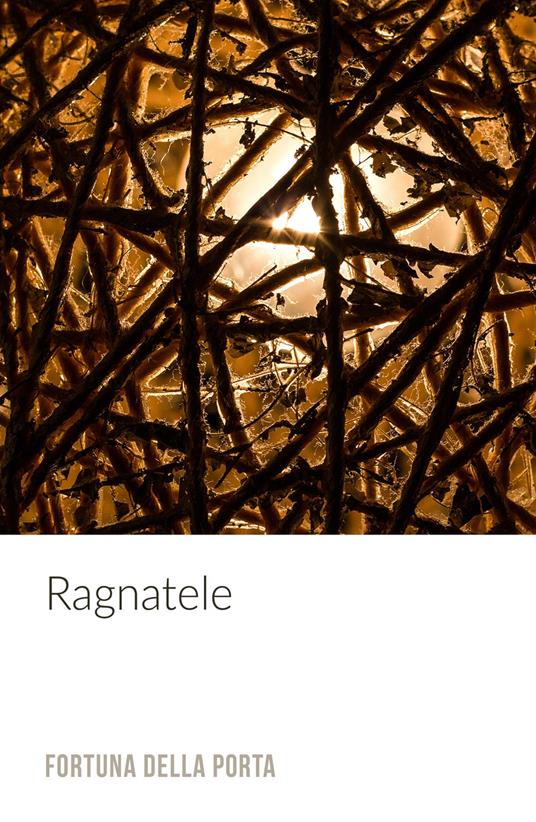 Ragnatele - Fortuna Della Porta - copertina