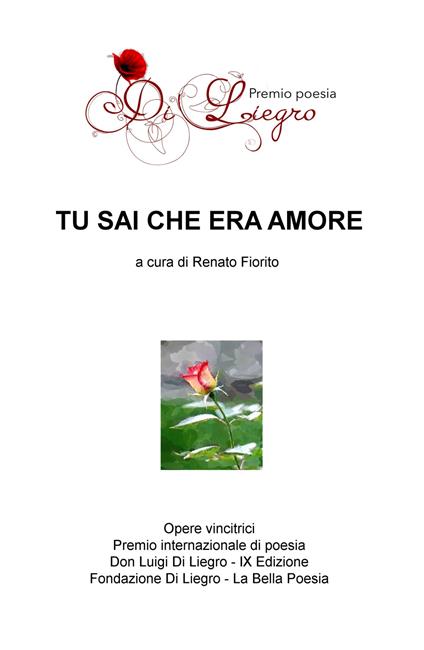 Tu sai che era amore - Renato Fiorito - copertina