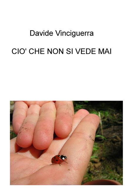 Ciò che non si vede mai - Davide Vinciguerra - copertina
